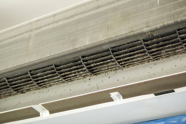 Best Air Duct Mold Removal  in Sullivan City, TX